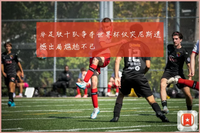 非足联十队争夺世界杯仅突尼斯遗憾出局尴尬不已